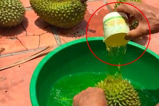 Người đàn ông nhúng thuốc cho sầu riêng và 'bí mật' hé lộ khiến dân mạng tranh cãi