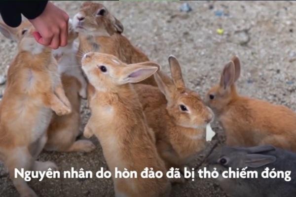 Giếng bậc thang như mê cung ở Ấn Độ-1