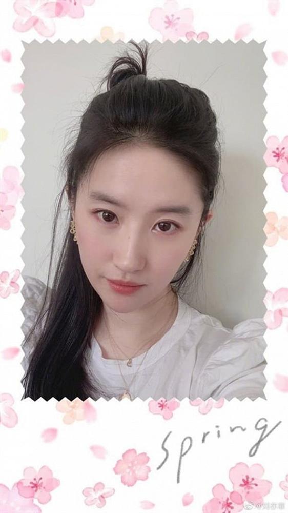 Bóc mác set đồ hiệu đơn giản nhưng lại giúp Lưu Diệc Phi trẻ trung và xinh đẹp dù đã 32 tuổi-4