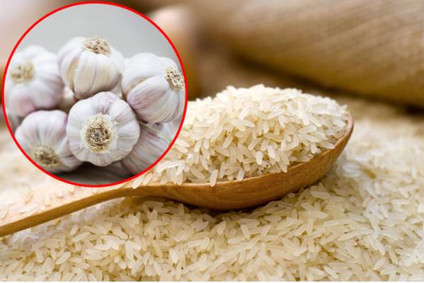 Cho một tép tỏi vào thùng gạo đảm bảo mối mọt, ẩm mốc không bao giờ xuất hiện-1