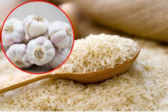 Cho một tép tỏi vào thùng gạo đảm bảo mối mọt, ẩm mốc không bao giờ xuất hiện