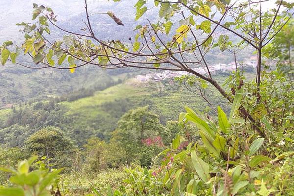 Vừa xây nhà ở riêng, vợ nằng nặc đòi đưa bố mẹ đẻ về thờ cúng-1