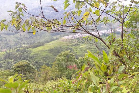 Vừa xây nhà ở riêng, vợ nằng nặc đòi đưa bố mẹ đẻ về thờ cúng