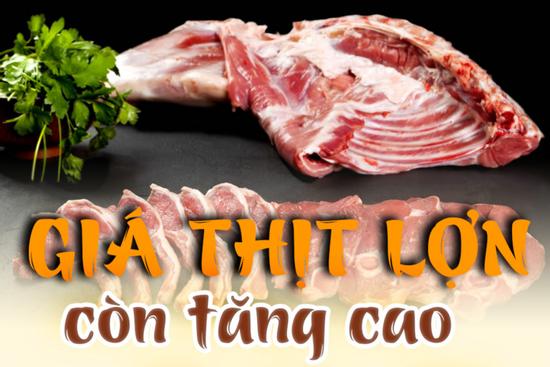 Giá lợn cao chót vót: Đến bao giờ đến thời người bán ngừng bảo 'Lên tivi mà mua?'