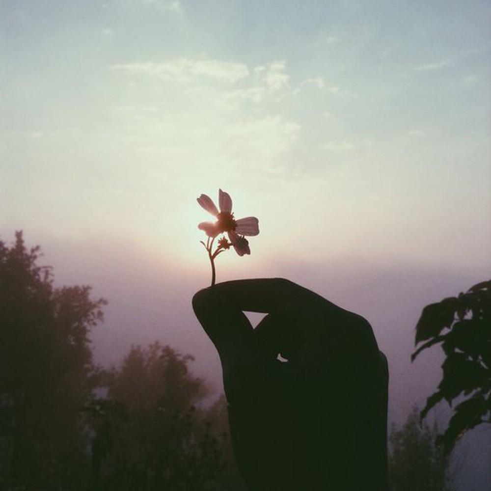 Tử vi Chủ nhật ngày 10/5/2020 của 12 con giáp: Ngọ tài chính không ổn, Thân cần chăm chỉ hơn-2