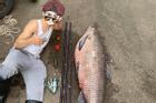 Anh chàng câu được con cá 50kg ở Nhật Bản, dân mạng liền gợi ý gửi về một nơi ở Việt Nam để có món ăn ngon