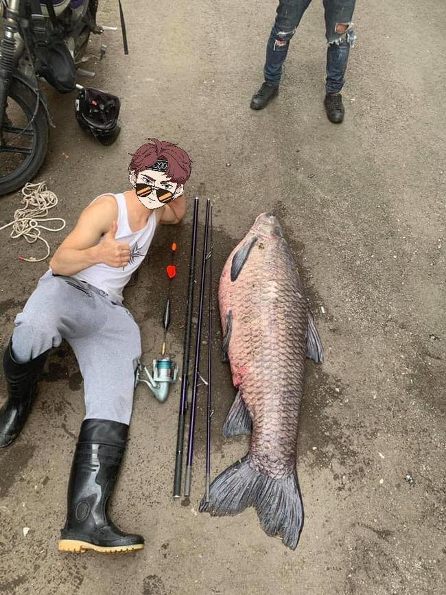 Anh chàng câu được con cá 50kg ở Nhật Bản, dân mạng liền gợi ý gửi về một nơi ở Việt Nam để có món ăn ngon-1