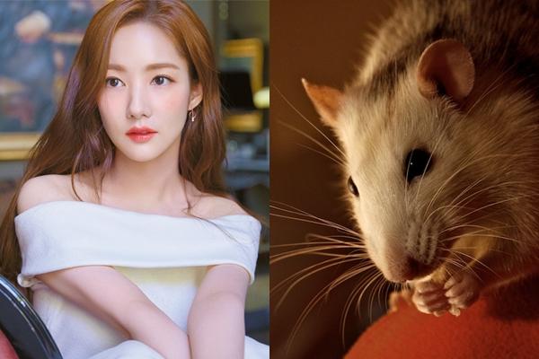 Không có ý định làm kinh doanh vậy mà 3 con giáp không ngờ hốt bạc nhờ công việc này sau tuổi 30-1