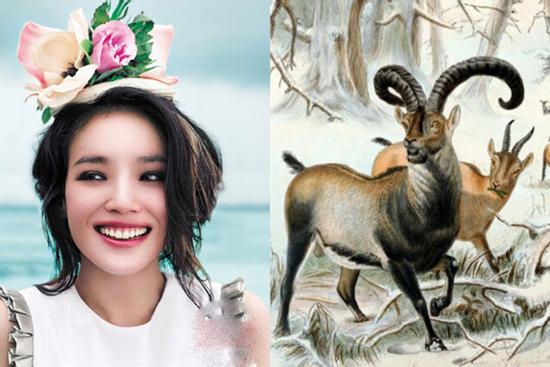 Tuần mới rực rỡ, 3 con giáp làm nên sự nghiệp, tiền về đầy ví, tình đầy tim