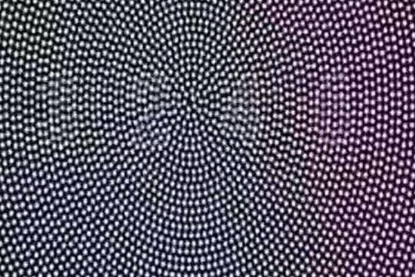 Dù xinh đẹp, thông minh hơn người thì những con giáp có tên sau vẫn lận đận, mãi không lấy được chồng-5