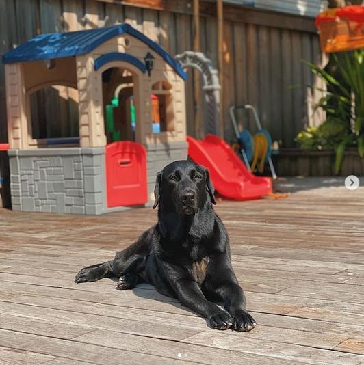 Từng ngóc ngách đẹp như tranh trong biệt thự màu trắng của Tăng Thanh Hà-15