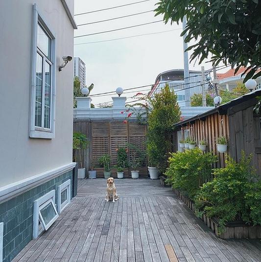 Từng ngóc ngách đẹp như tranh trong biệt thự màu trắng của Tăng Thanh Hà-10