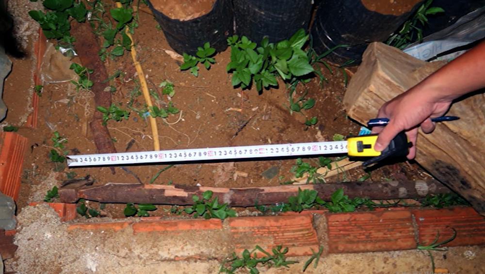 Hành trình phá vụ bí thư xã giết cháu họ rồi tạo hiện trường giả-2