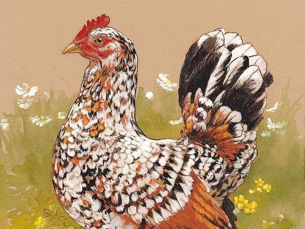 Top 4 con giáp nữ dễ bước ‘hai lần đò’ nhưng thường viên mãn với lần lựa chọn thứ 2-3