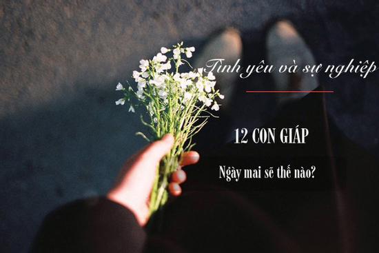 Tử vi thứ Tư ngày 13/5/2020 của 12 con giáp: Hợi tình yêu không như ý, Tý tài chính rủng rỉnh