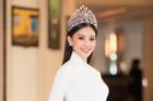 Hoa hậu Tiểu Vy để lộ khuyết điểm ứng xử khi phát biểu ấp úng, thiếu tinh tế sau 2 năm đăng quang