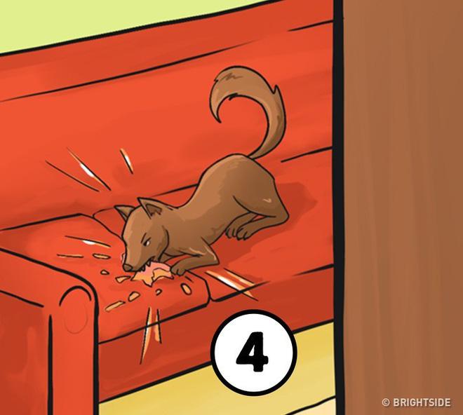 Sẽ làm gì đầu tiên trong 4 tình huống sau? Câu trả lời sẽ cho thấy tính cách bạn-5