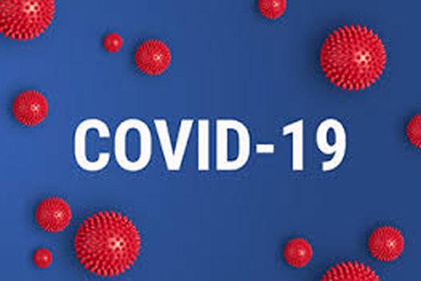 Việt Nam có thêm 24 người mắc Covid-19, nâng tổng số lên 312 bệnh nhân-1