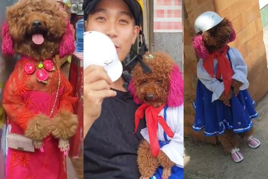 MXH Việt phát cuồng cô chó đi bằng 2 chân, video mới xuất hiện hút gần 5,5 triệu lượt xem