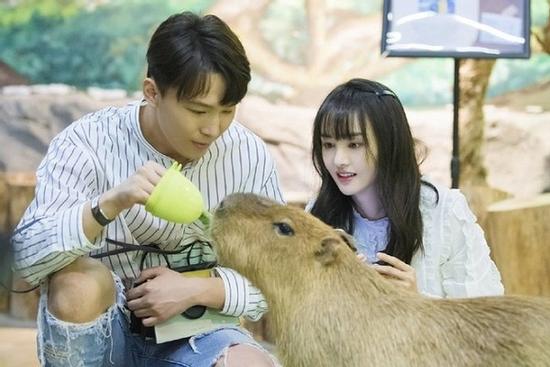 Trịnh Sảng ám chỉ bị bạn trai CEO lừa tiền