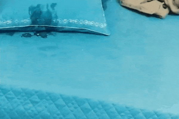 Clip: Bạn gái đi ăn đêm với chị, thanh niên bực tức phá phòng trọ người yêu, ném cả trứng lên tường, chăn, gối...-3