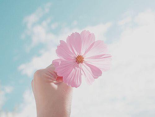 Tử vi thứ 7 ngày 16/5/2020 của 12 con giáp: Tý đề phòng tiểu nhân, Dần bớt nóng tính-1