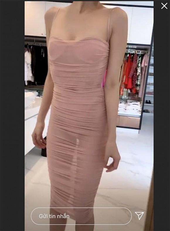 Hai chiếc đầm xuyên thấu phô diễn toàn bộ body của Ngọc Trinh gây phản cảm-1