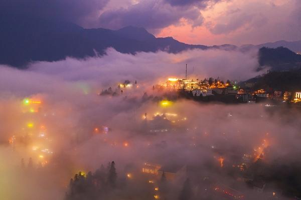 Ngắm vẻ đẹp dịu dàng, kiêu sa của hoa muồng hoàng yến ven hồ Tây-8