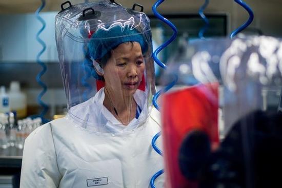 Chuyên gia Viện Virus học Vũ Hán công bố nguồn gốc của virus corona