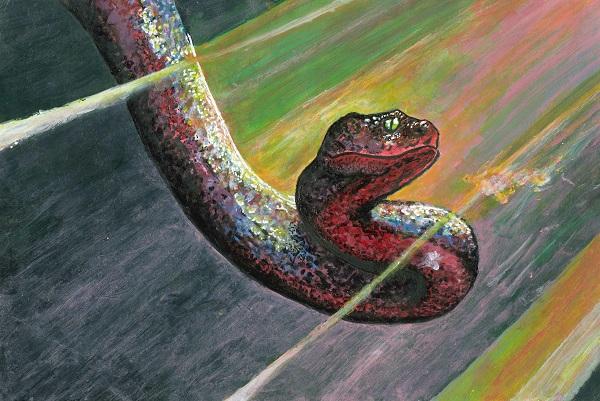 Trong 12 con giáp ai là người giỏi đầu tư và đạt được lợi nhuận cao nhất, top 3 có bạn không?-1