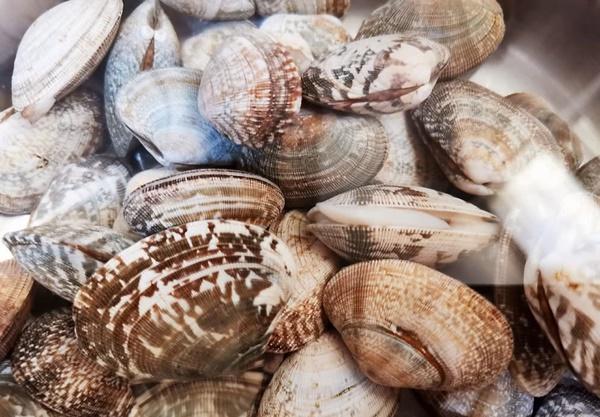 Ngoài muối, thêm vài giọt nguyên liệu này khi ngâm ngao đảm bảo nhả sạch cát không còn một hạt-1