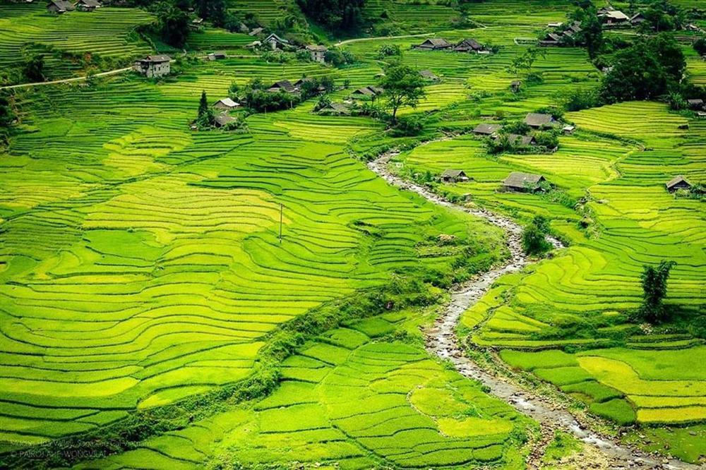 Báo nước ngoài ca ngợi bản Cát Cát mang vẻ đẹp ngoạn mục-1