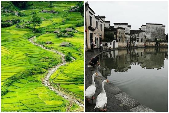 Báo nước ngoài ca ngợi bản Cát Cát mang vẻ đẹp ngoạn mục