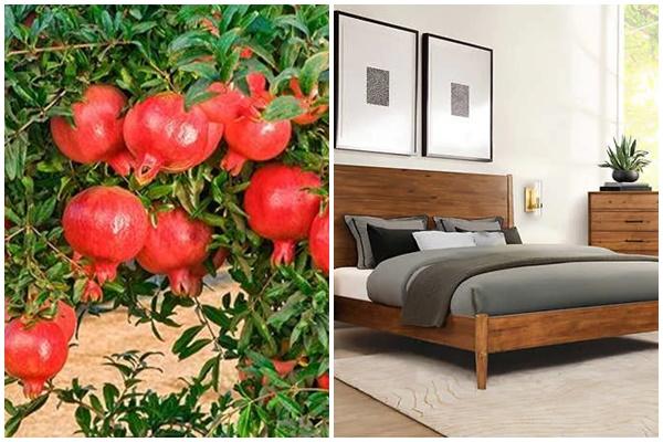 Những loại cây may mắn đặt trên bàn thờ, gia chủ làm gì cũng hanh thông-7