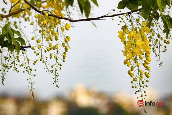 Ngọn hải đăng ở Việt Nam có tuổi đời lớn nhất Đông Nam Á-1