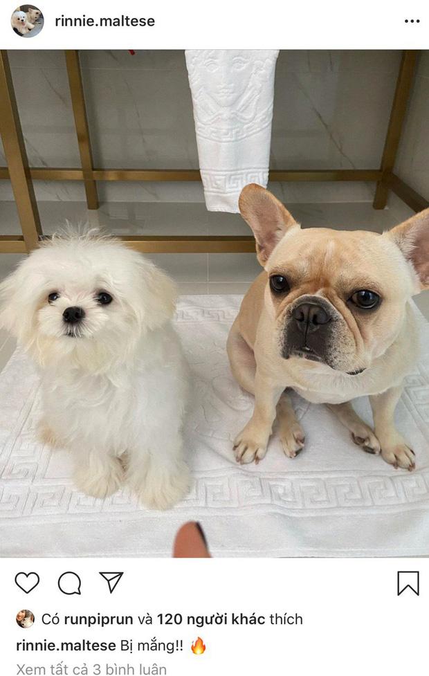 Lộ bằng chứng Phillip Nguyễn đưa Linh Rin và cún cưng về villa ở Vũng Tàu nghỉ dưỡng-5