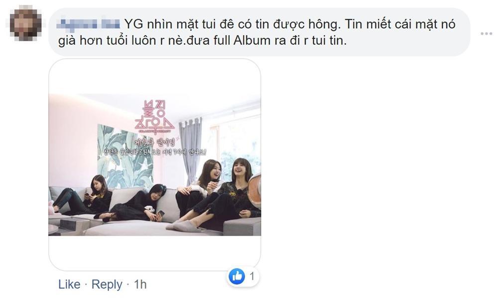 Vừa thông báo có full album, BLACKPINK đã lập tức sở hữu luôn kỷ lục mới-4