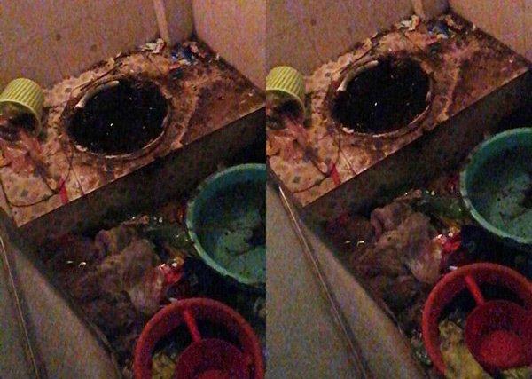 Mở cửa phòng trọ của nam sinh bảnh bao, chủ trọ sốc khi chứng kiến cảnh khó tin-2