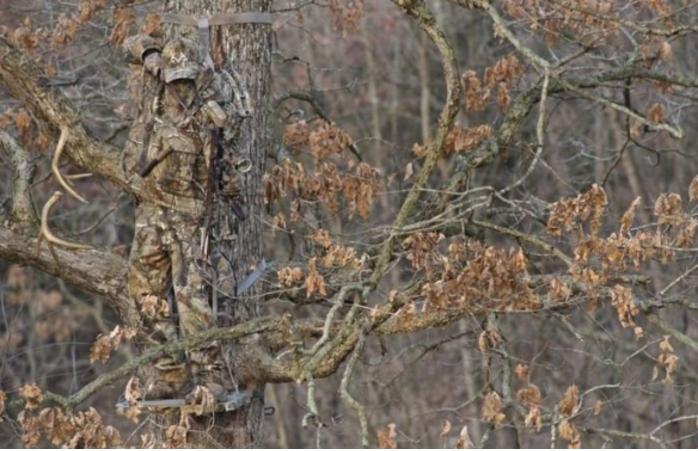 Bạn chính là THIÊN TÀI nếu tìm được hết kẻ ngụy trang lẩn trốn trong 5 bức ảnh-2