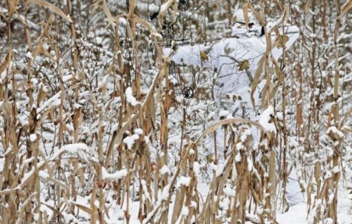 Bạn chính là THIÊN TÀI nếu tìm được hết kẻ ngụy trang lẩn trốn trong 5 bức ảnh-3