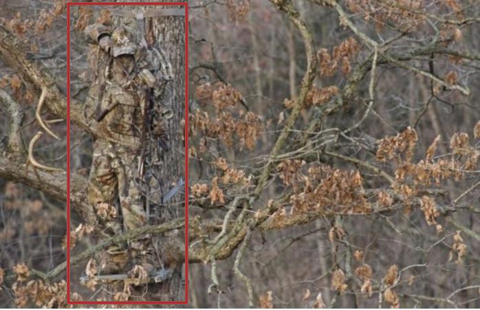 Bạn chính là THIÊN TÀI nếu tìm được hết kẻ ngụy trang lẩn trốn trong 5 bức ảnh-7