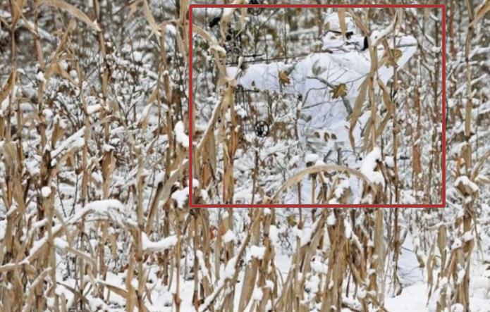 Bạn chính là THIÊN TÀI nếu tìm được hết kẻ ngụy trang lẩn trốn trong 5 bức ảnh-8