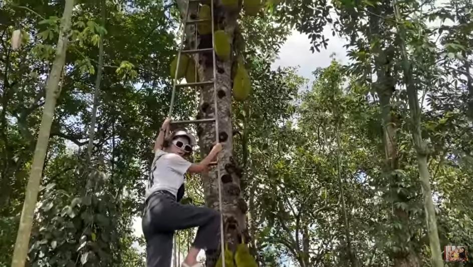 Rút 500 ngàn thách chị em trèo cây cao, Trang Trần nhận cái kết quá đắng-1