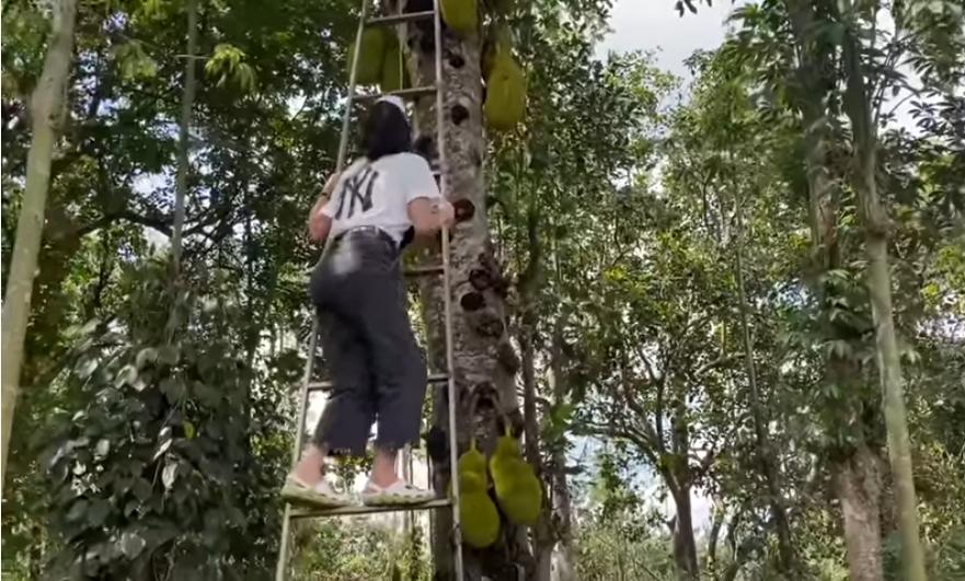Rút 500 ngàn thách chị em trèo cây cao, Trang Trần nhận cái kết quá đắng-2