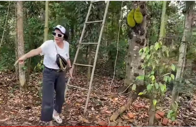 Rút 500 ngàn thách chị em trèo cây cao, Trang Trần nhận cái kết quá đắng-3