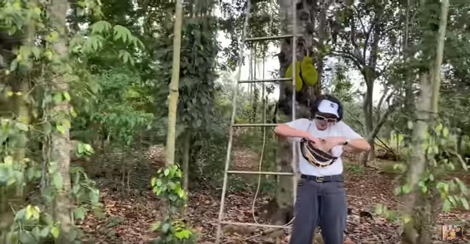 Rút 500 ngàn thách chị em trèo cây cao, Trang Trần nhận cái kết quá đắng-5