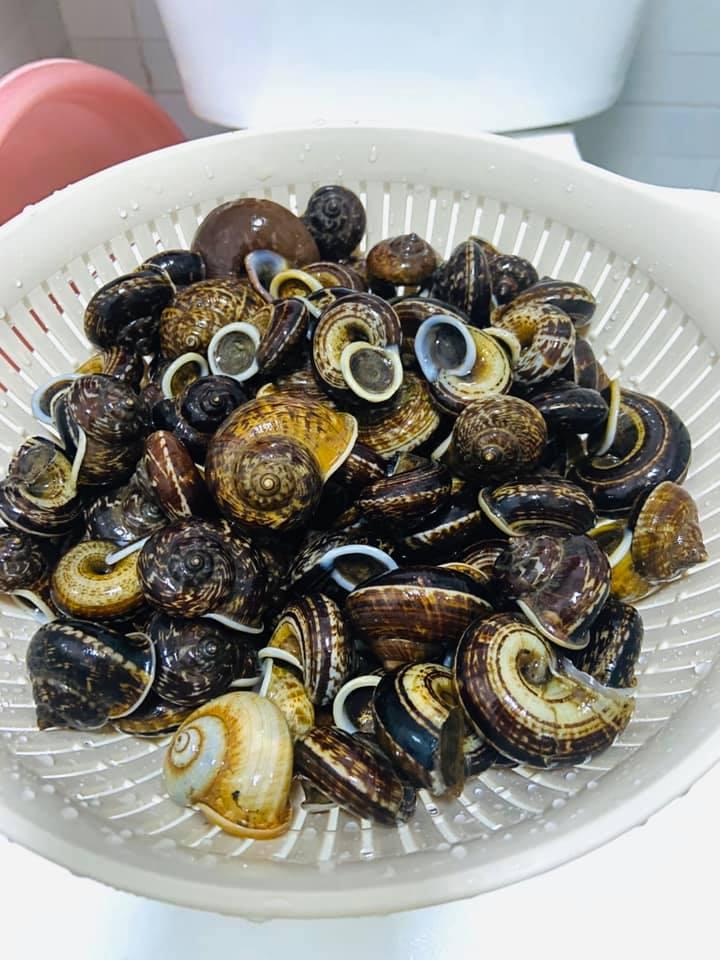 Định trổ tài làm món ốc hấp, cô gái rùng mình khi chứng kiến cảnh đáng sợ-2