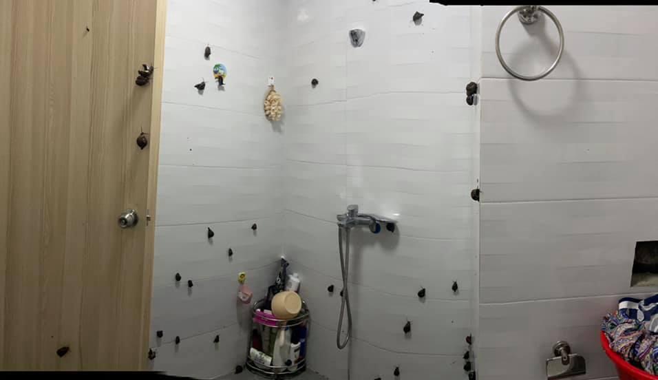 Định trổ tài làm món ốc hấp, cô gái rùng mình khi chứng kiến cảnh đáng sợ-3