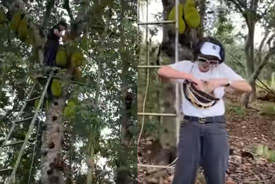 Rút 500 ngàn thách chị em trèo cây cao, Trang Trần nhận cái kết quá 'đắng'