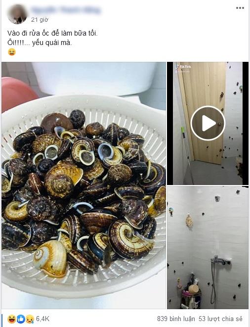 Định trổ tài làm món ốc hấp, cô gái rùng mình khi chứng kiến cảnh đáng sợ-1